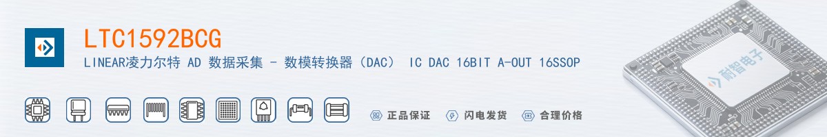 LTC1592BCG������